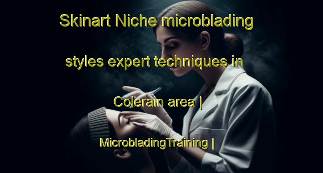 Skinart Niche microblading styles expert techniques in Colerain area | MicrobladingTraining | MicrobladingClasses | SkinartTraining-United States